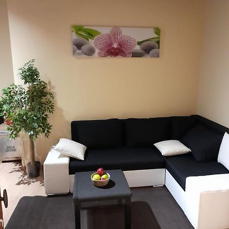 Cute,Cosy,Comfortable Studio In The Heart Of Antwerpen Lägenhet Exteriör bild