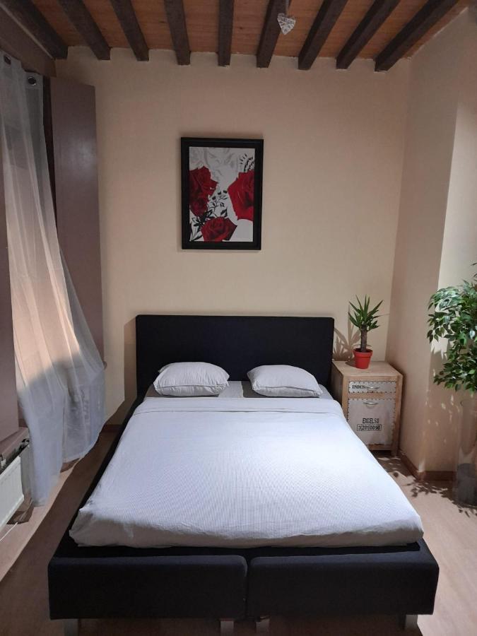 Cute,Cosy,Comfortable Studio In The Heart Of Antwerpen Lägenhet Exteriör bild
