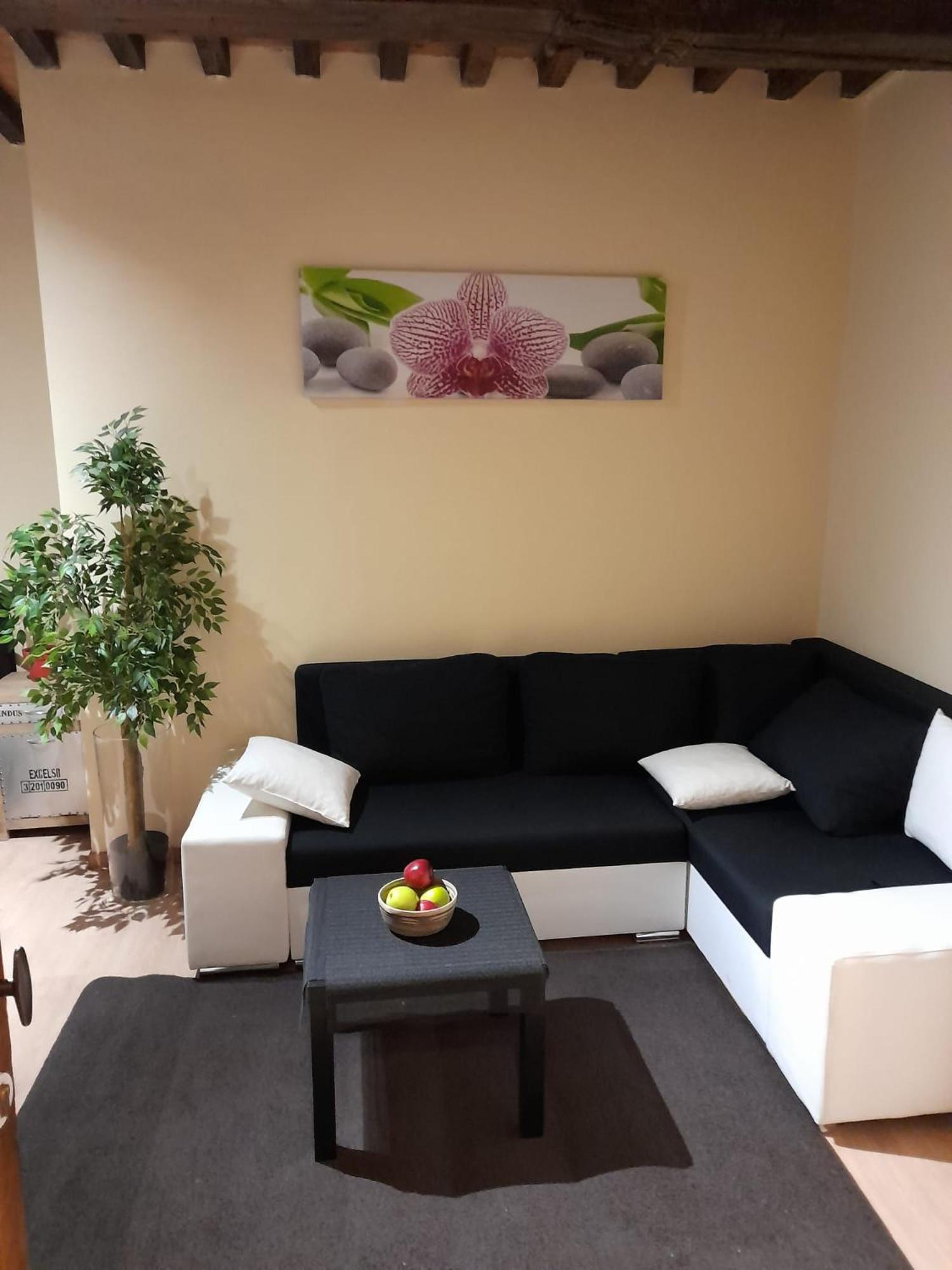 Cute,Cosy,Comfortable Studio In The Heart Of Antwerpen Lägenhet Exteriör bild